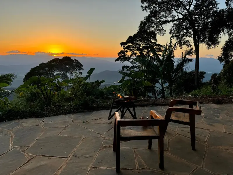 Forest trail in the Nilo Nature Forest Reserve, East Usambara Mountains