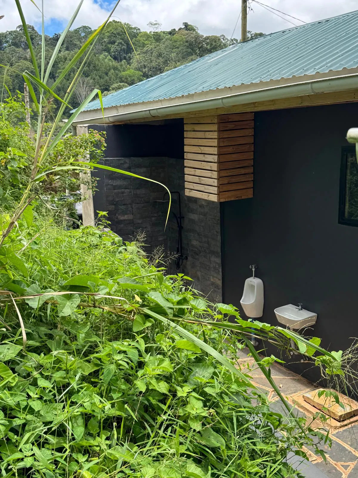Main house of Nilo Forest Lodge seen from the garden